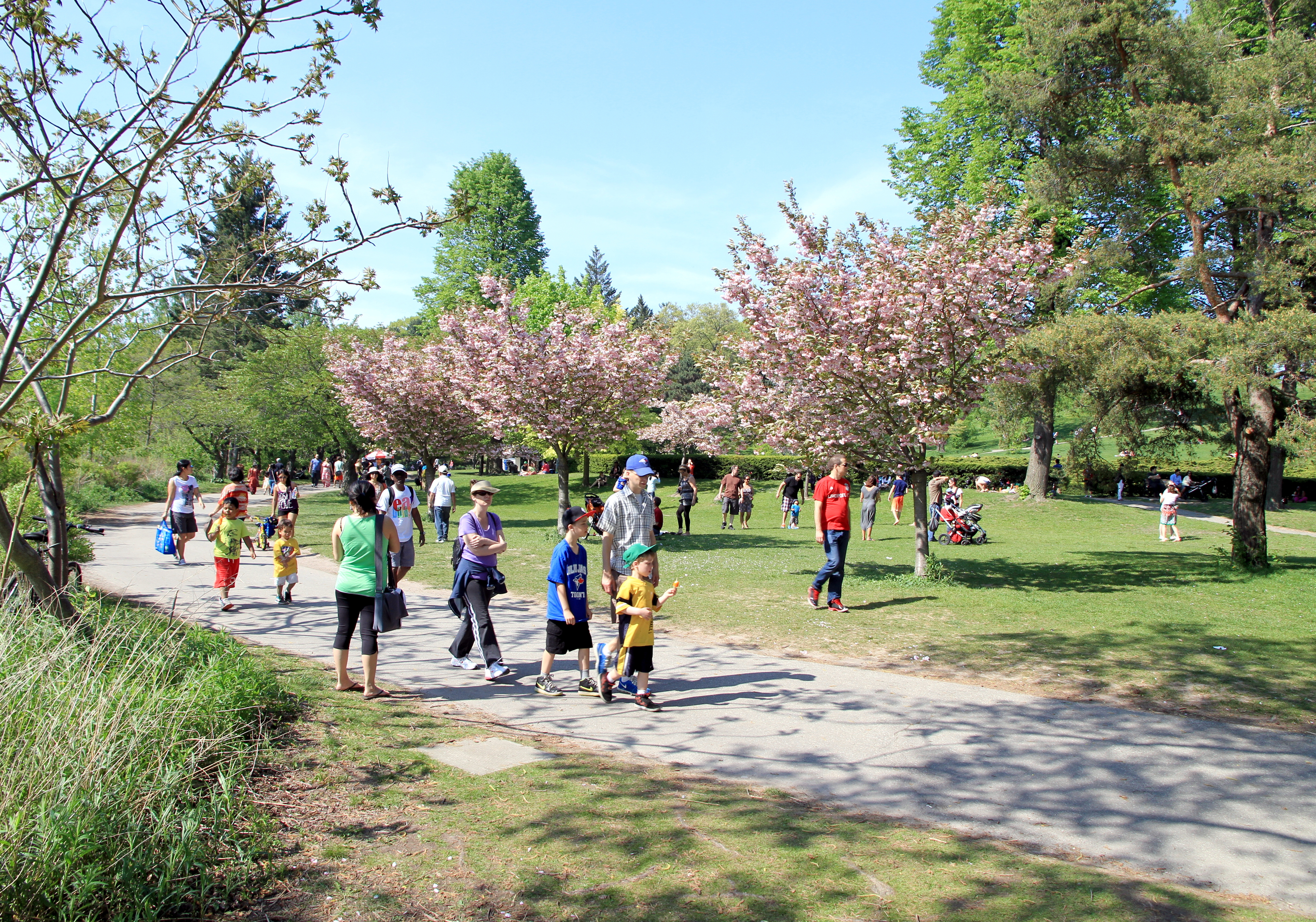 Various people walking through a park