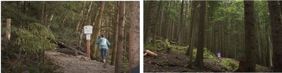 image of Grouse Mountain Regional Park Trails, Vancouver, British Columbia